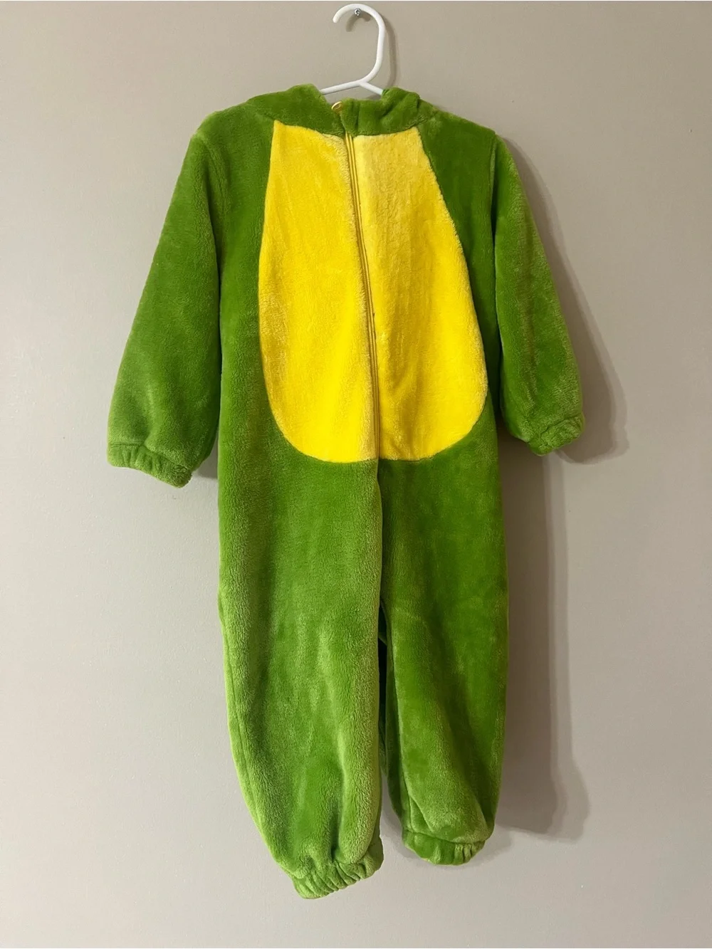 Dinosaur Costume